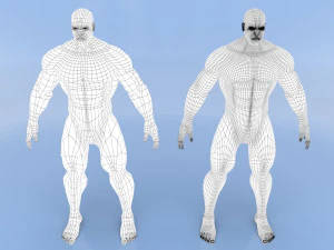 male base mesh 3D Model