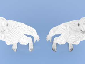 male base mesh Modelo 3D