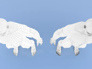 male base mesh 3D Model