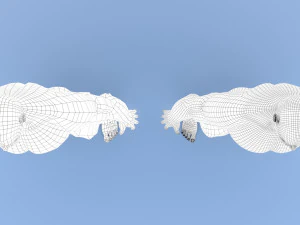 male base mesh 3D Model