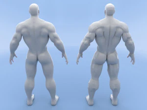 male base mesh 3D Model