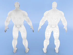 male base mesh 3D Model