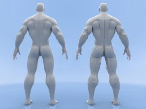 male base mesh 3D Model