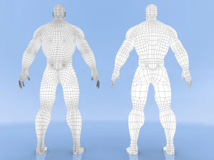 male base mesh 3D Model