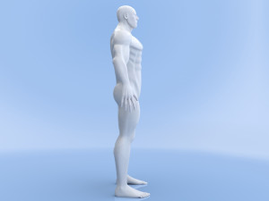 male base mesh Modelo 3D