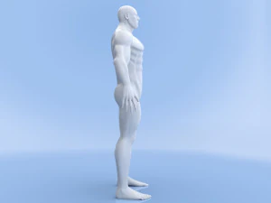 male base mesh 3D Model
