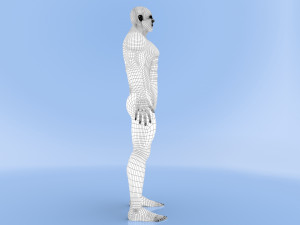 male base mesh Modelo 3D