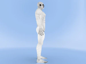 male base mesh 3D Model