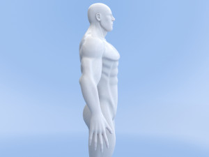 male base mesh Modelo 3D