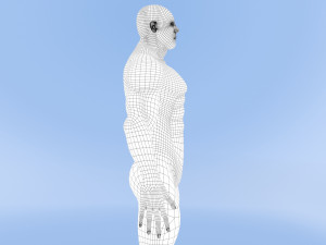 male base mesh Modelo 3D