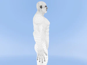 male base mesh 3D Model