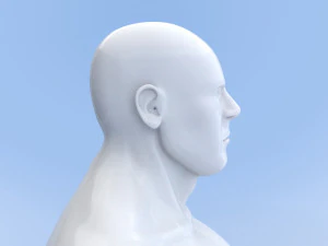 male base mesh 3D Model