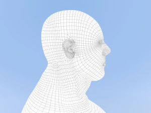 male base mesh 3D Model
