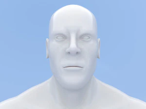 male base mesh 3D Model