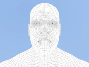 male base mesh 3D Model