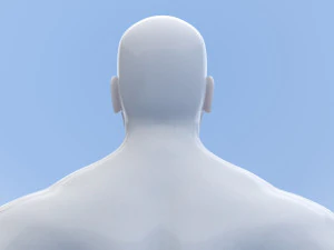 male base mesh 3D Model