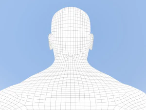 male base mesh 3D Model