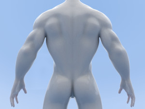 male base mesh Modelo 3D
