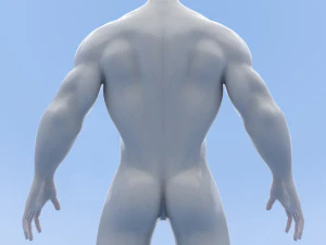 male base mesh 3D Model