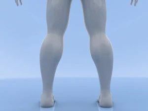 male base mesh 3D Model