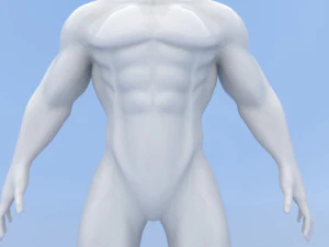 male base mesh 3D Model