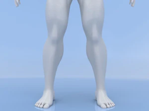 male base mesh 3D Model