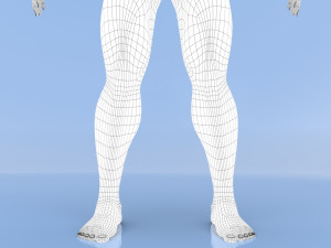 male base mesh Modelo 3D