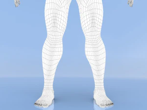 male base mesh 3D Model