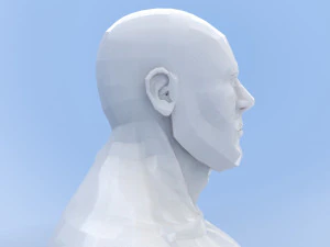 male base mesh 3D Model