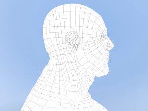 male base mesh 3D Model