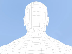 male base mesh 3D Model