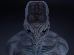 alien bust 3D Model