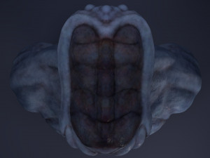 alien bust Model 3D
