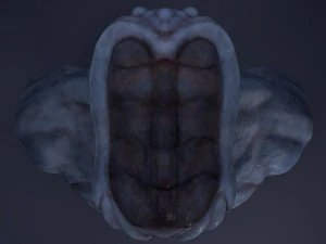 alien bust 3D Model