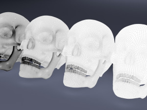 human skull Model 3D