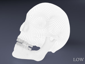 human skull Model 3D