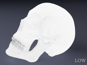 human skull Model 3D