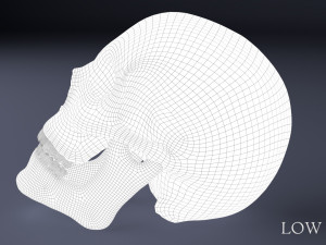 human skull Model 3D