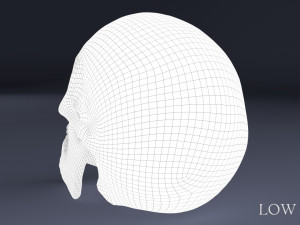 human skull Model 3D