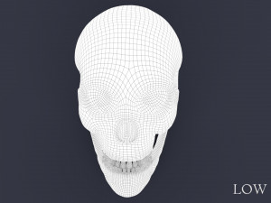 human skull Model 3D