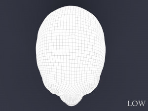 human skull Model 3D
