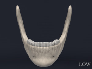 human skull Model 3D