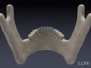 human skull Model 3D