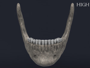 human skull Model 3D