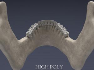 human skull Model 3D