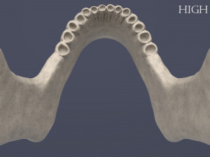 human skull Model 3D