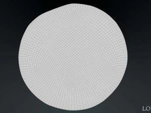 Lykaonia Coin 1 3D Model