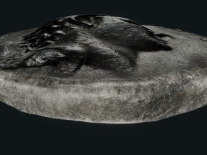 Seleukos Coin 3Dモデル