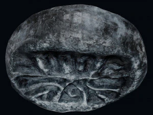 Lycia Coin 3D Model