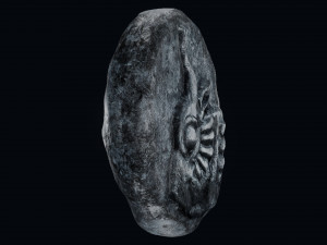 Lycia Coin 3D-Modell